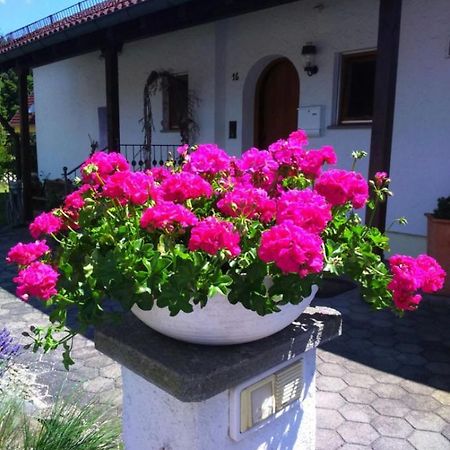 Apartmán Haus Saentisblick Eriskirch Exteriér fotografie